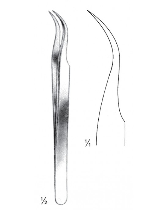 RJ-08-2146-11